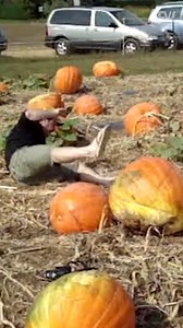 48K views · 274 reactions | Fall?! We thought you said FAIL 藍 | AFV Classics | Facebook