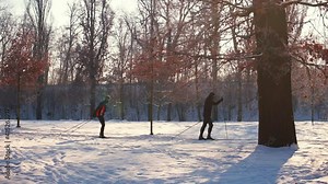 Two skiers are moving in the snow in a city park. They push sticks off the ground. Sports lifestyle in isolation. Camera movement.
