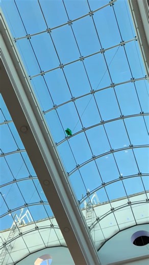 Looks like one monkey didn’t want the fun to end 🐒🎈 The event might be over, but there’s still one hanging out at the Haymarket… guess we’re coming back! 😂 #MonkeyOnTheDarren #HaymarketAdventures #MonkeyBusiness #SeeYouSoon | Snot Monkey HQ