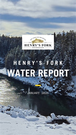Water Report • January 2026📍Henry's Fork Watershed (eastern Idaho) 💧Precipitation for Water Year 2026 is 6% above average, thanks to a wet October and December. 🌡January was 2*F warmer than average. ❄️Snow water equivalent (the amount of water in our snowpack) is 23% below average, but heavy precipitation in February and March can be the superhero we need to recover. We've seen years like this in 2019, 2024, and 2025. 🌊Island Park Reservoir is 71% full and streamflow in Box Canyon has averag
