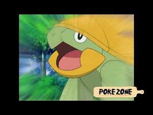 Pokémon Ash Turtwig Evolve into Grotle (pokemon diamond and pearl )