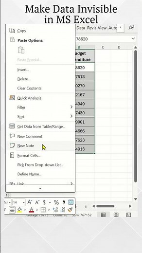 How to Make the Data Invisible in Excel