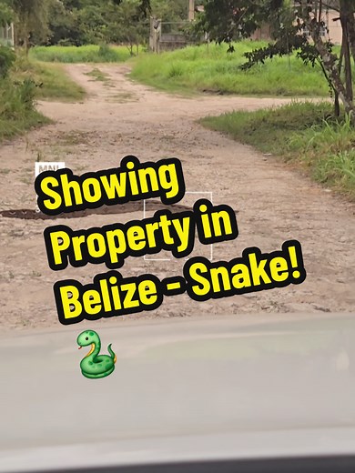 belizerealestateagent on TikTok