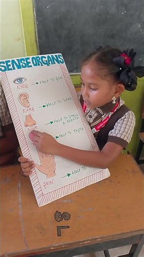 science day celebrations in our school