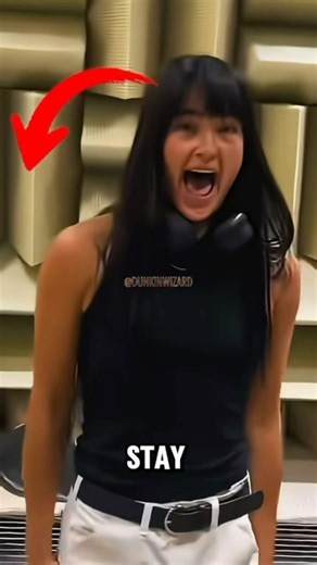 The World’s Quietest Room 🤫😱