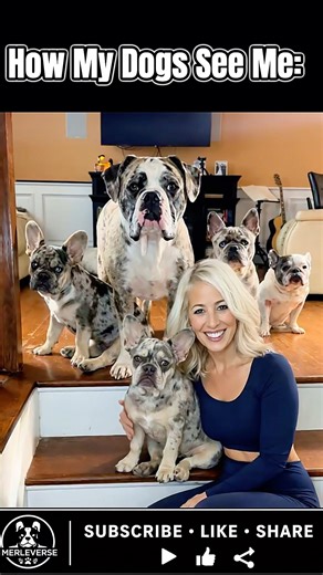 The Many Hats of a Dog Mom 🐾