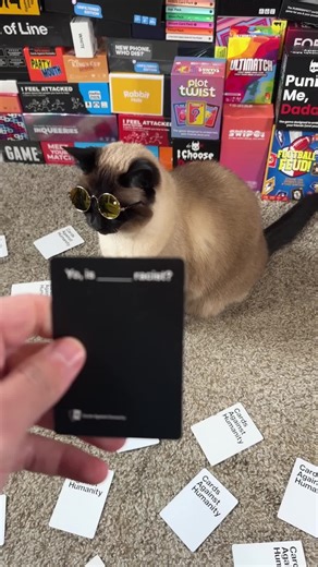 She is no little spoon…#cat #bap #fyp #oof #cardsagainsthumanity | cats
