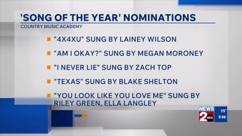 59th CMA Awards 'Song of the Year' nominations