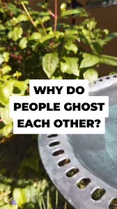 7.4K views · 85 reactions | Why do People Ghost each other? #mentalhealth #health #mindset #therapy #therapist #ghost | Jim Brillon Therapist LMFT | Facebook