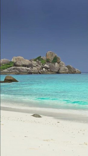 Musique Zen au Piano | Bruit de la Nature | Méditation et Relaxation | Anti-stress | Méditer, Dormir