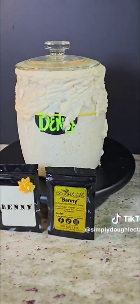 Gluten-Free Sourdough Starter by Benny - Your Baking Partner!