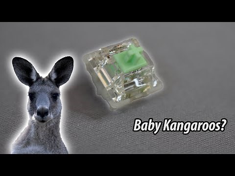 Gateron Baby Kangaroo - My Favorite Switch to Date!