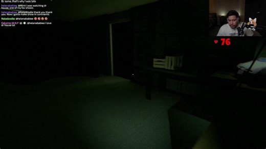 Does anyone even watch my streams?