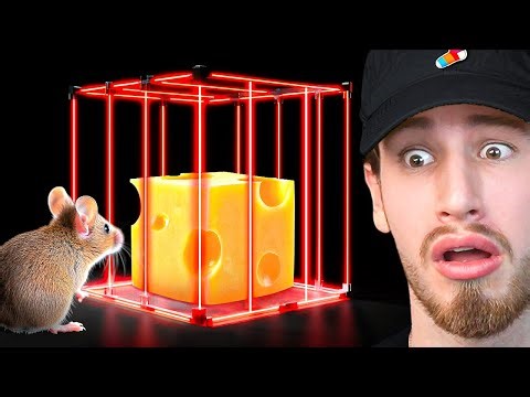 World's MOST SECURE Mouse Trap...