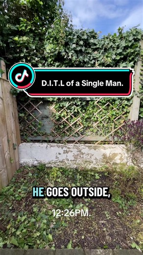 A Day in the Life of a Single Man