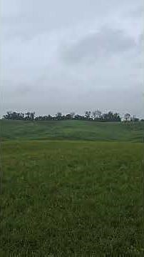 Vicksburg National Military Park Mississippi