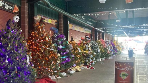 Penn Medicine Park brings holiday cheer with light show and 117 decorated trees in Lancaster