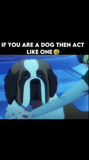 if you are a dog then act like one... #anime #animetiktok #animerecommendations