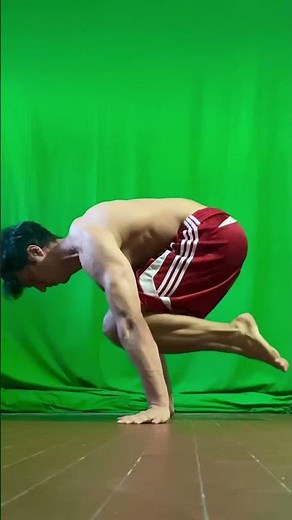 Planche Push Up - Tuck to Half Lay