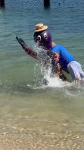 The feeling when rugby league regular season ends… | The Wiggles