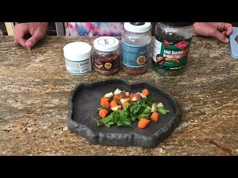 How To Make A Bearded Dragon Salad