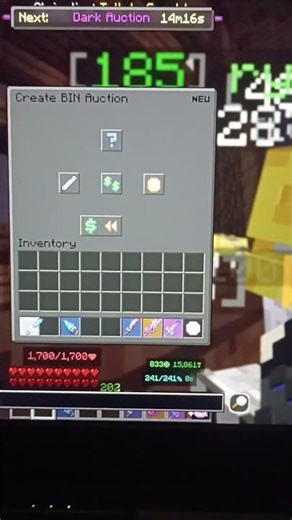 Hypixel skyblock auction error (auction not working)