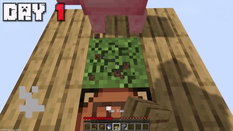 I survived 100 days on one block in hardcore Minecraft