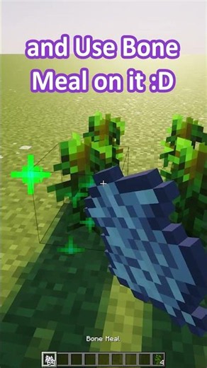 How to build a BIG tree in #minecraft