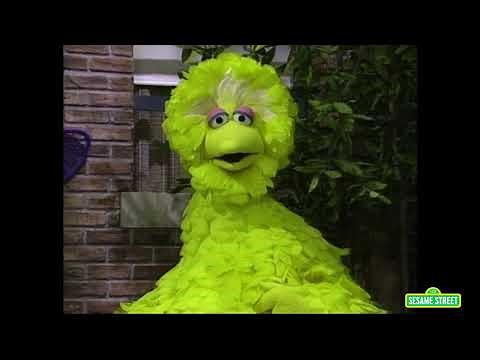Big Bird's Bedtime