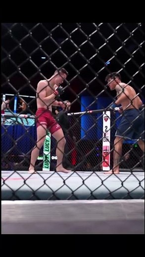 Unbelievable Shock Kick! Fighter Drops Opponent in a Ruthless Knockdown Moment