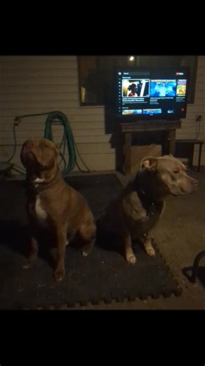 Ever wonder what their thinkin | Miranda Paige Lawrence