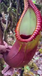 2.4M views · 10K reactions | . . . #facts | Science Fact | Facebook