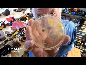 How to grow your own bacteria? - The Experiment
