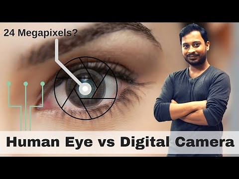 Human Eye vs Digital Camera. How many megapixels?