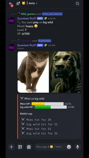 Funniest Discord Command 🤣