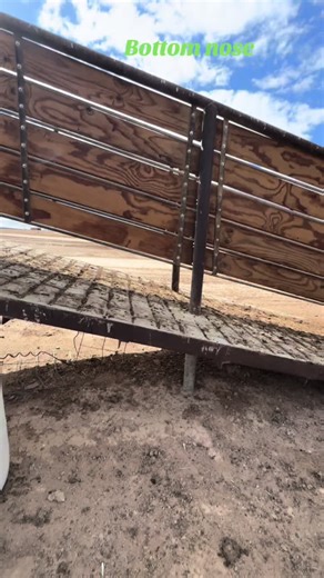 How to Load Cattle Trailers Like a Pro