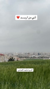 Majeda Al-damen on Reels