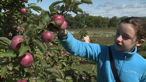 Fall Fun at Gould Hill Farm