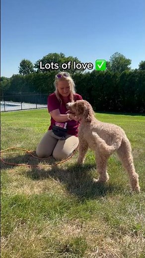 What Invisible Fence Training is Like