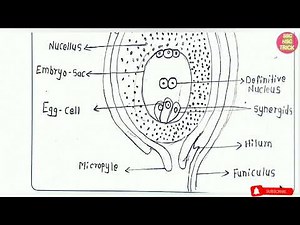 Class 12 Biology practical Part B 1-7 PRACTICAL SOLVED