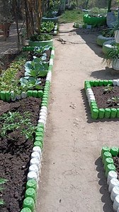 Masyaallah surga nya emak emak kebun pekarangan samping rumah... #berkebun# | Rumah Dedimini