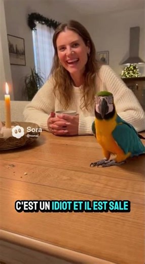 Le perroquet a t il réussi à la faire partir ? #shorts
