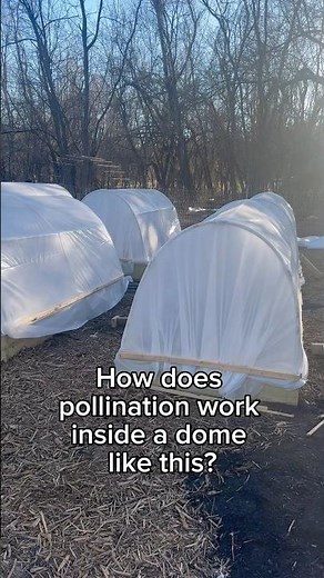 DIY PVC Dome Hoophouse: What About Pollinators?