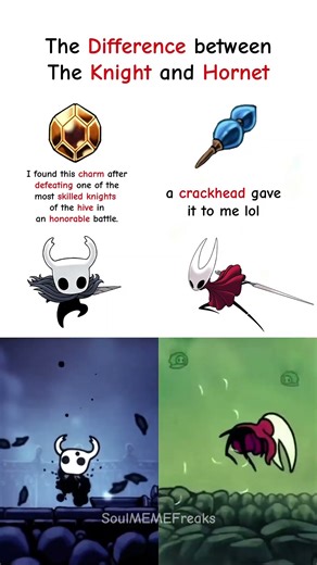 The Difference between the Knight and Hornet 😭 Hollow Knight Silksong