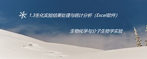 1.3生化实验结果处理与统计分析（Excel软件）