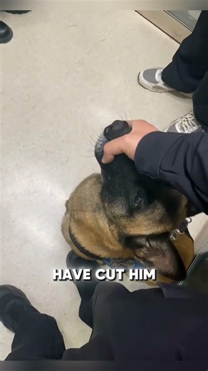 The Quickest Reflexes on the Force 😂👮‍♂️ #kindness