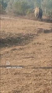 #rakesh #lifeisbutadream #whowillbemylifepartnerta #freefire #haveitoldyoulatelythatiloveyou