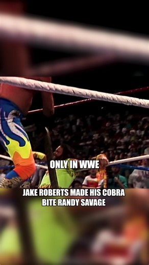 16K views · 89 reactions | During a heated segment on WWF Superstars,...