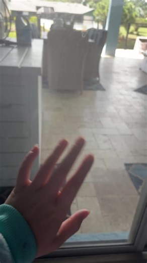 #MansBestFriend lazy Saturday 🩷💜💙🤍