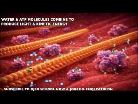 LIVE WQRST 7.365 DESIR & QRST PLAYLIST SONGS